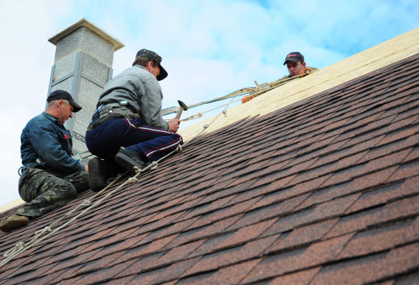 Quick and Trustworthy Emergency Roof Repair Services in Biltmore Forest, NC